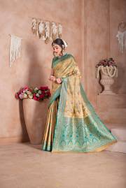 Np Saree  DN 9747A TO 9747D